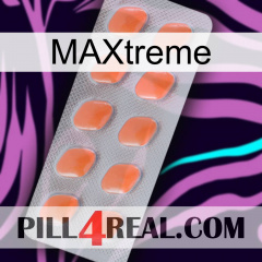 Maxtreme 26